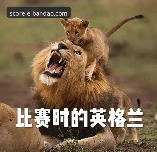 揭秘bandao实时比分背后的真相：你还在用传统方式看球吗？